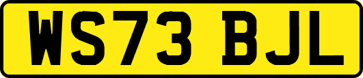 WS73BJL