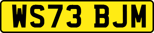 WS73BJM