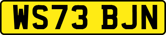 WS73BJN