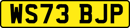 WS73BJP