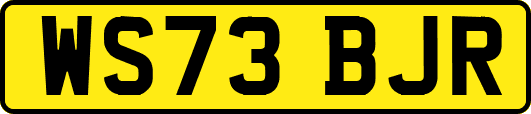 WS73BJR