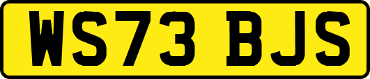 WS73BJS