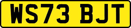 WS73BJT