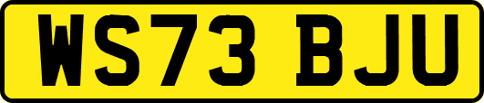 WS73BJU
