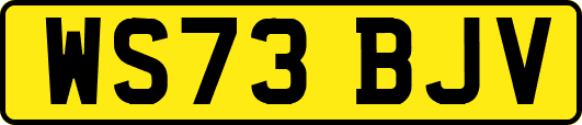 WS73BJV