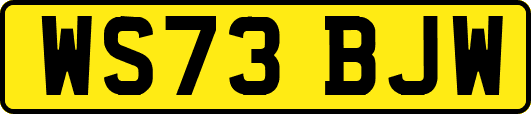 WS73BJW