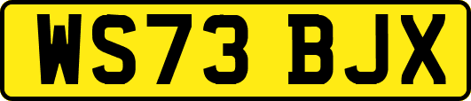 WS73BJX