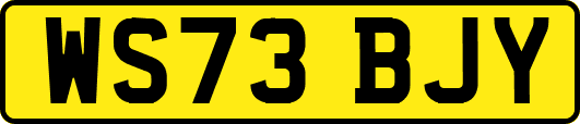 WS73BJY