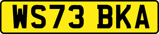 WS73BKA