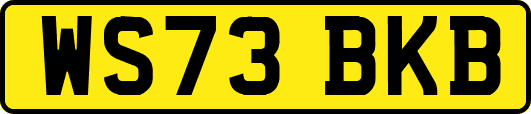 WS73BKB
