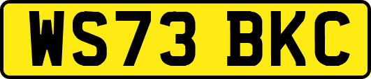 WS73BKC