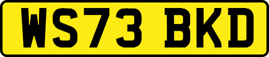 WS73BKD