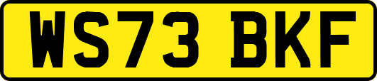 WS73BKF
