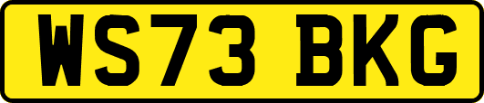 WS73BKG