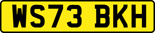 WS73BKH