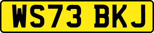 WS73BKJ