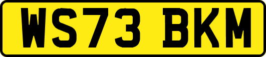 WS73BKM