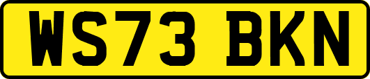 WS73BKN