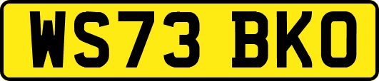 WS73BKO