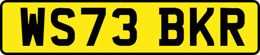 WS73BKR