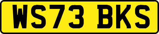 WS73BKS