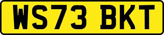 WS73BKT