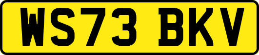 WS73BKV
