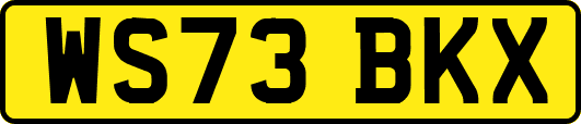 WS73BKX