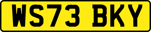 WS73BKY