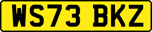 WS73BKZ