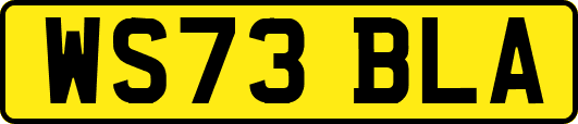 WS73BLA