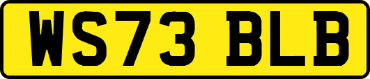 WS73BLB