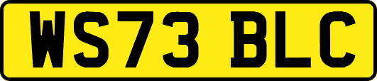 WS73BLC