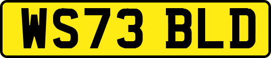 WS73BLD