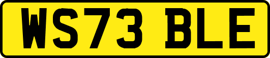 WS73BLE