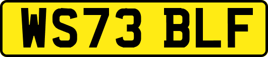 WS73BLF