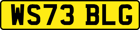 WS73BLG