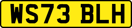 WS73BLH