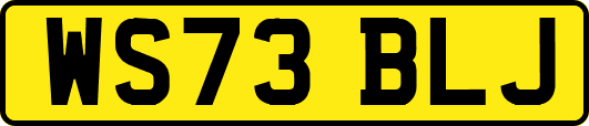 WS73BLJ