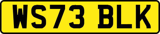 WS73BLK