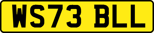 WS73BLL