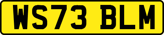 WS73BLM