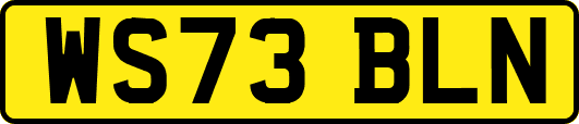 WS73BLN