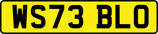 WS73BLO