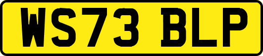 WS73BLP