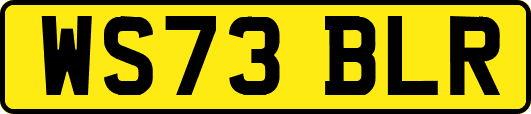 WS73BLR