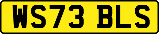 WS73BLS