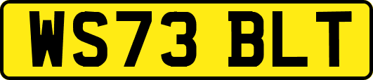 WS73BLT