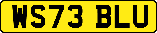 WS73BLU
