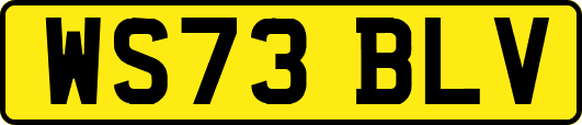 WS73BLV